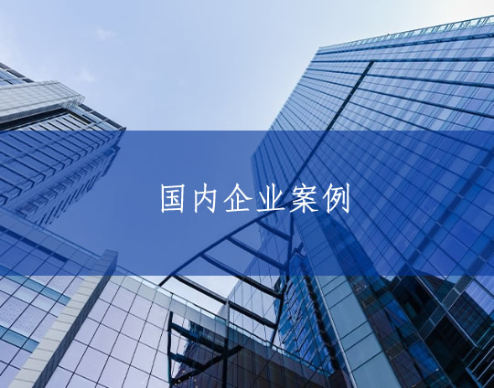 国内企业