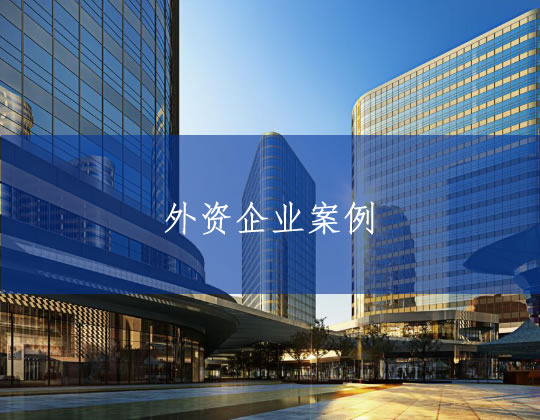 外资企业类